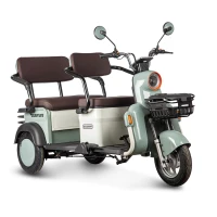 Электротрицикл Rutrike Gelbert Beta 48V/60V 800Вт Зелено-белый