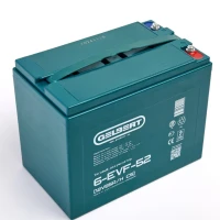 Тяговый аккумулятор Rutrike Gelbert 6-EVF-52 (12V55A/H C5)